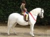 Zuchtstute Colne Trisca (Welsh Mountain Pony (Sek.A), 1995, von Pendock Legend)