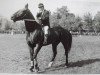 broodmare Kaija (Latvian Warmblood, 1936, from Balins)