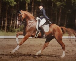 dressage horse Bocelli M (Hanoverian, 2004, from Harmony's Baroncelli)