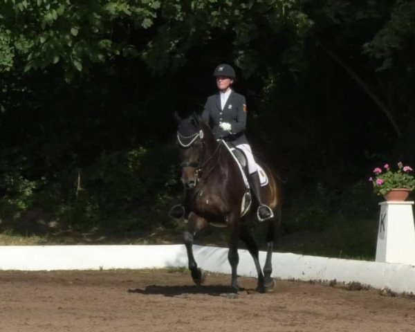 Reitturnier Wiesloch 2018