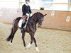 dressage horse L'Earoy (Rhinelander, 2007, from Licotus)