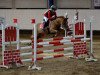 jumper Ellegårdens Christian (Danish Warmblood, 2002)