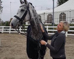 dressage horse Silbermond 30 (Oldenburg, 2009, from Sir Donnerhall I)