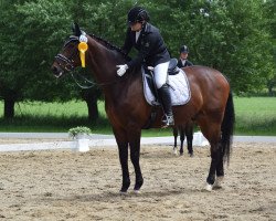 dressage horse Jazz Time's Luck (Oldenburg, 2005, from Jazz Time)