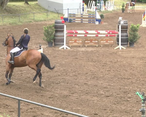Reitturnier Wiesloch 2018