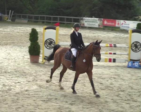 Reitturnier Kalenborn Hegehof 2018
