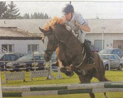 Springpferd Cara 171 (Deutsches Sportpferd, 2009, von Camarque 3)