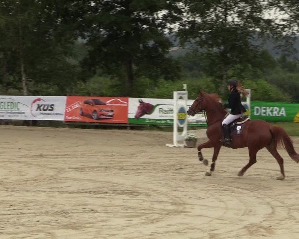 Reitturnier Schwerte-Gut Kückshausen 2018