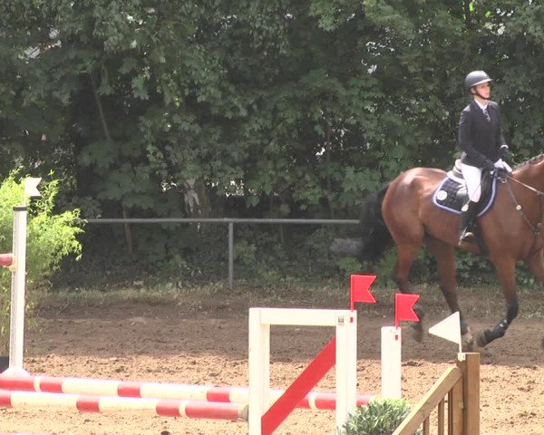 Reitturnier Wiesloch 2018