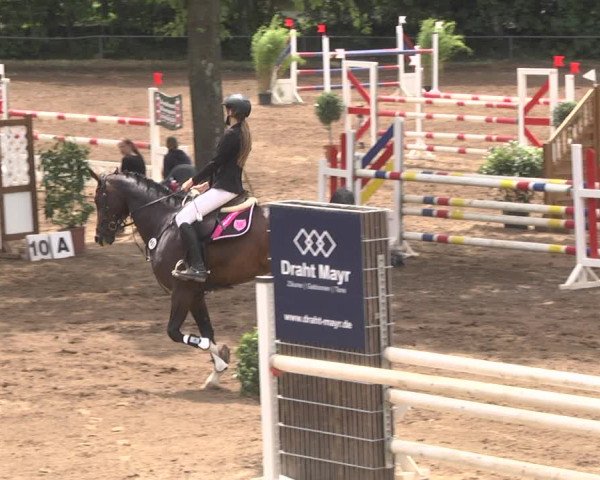 Reitturnier Wiesloch 2018