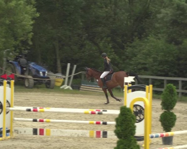Reitturnier Kalenborn Hegehof 2018