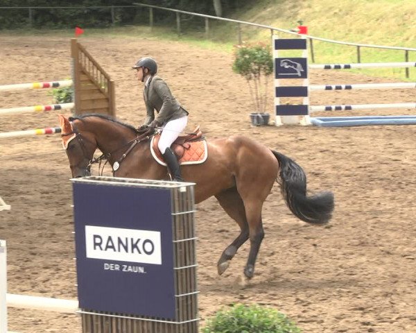 Reitturnier Wiesloch 2018