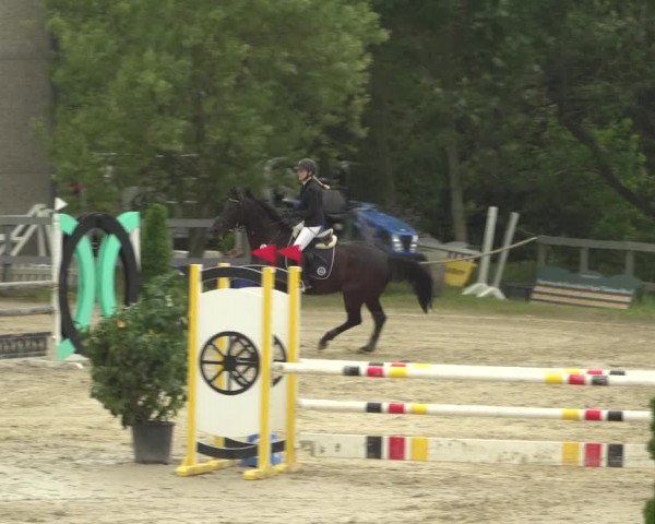 Reitturnier Kalenborn Hegehof 2018