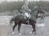 stallion Fausts (Latvian Warmblood, 1979, from Frants)