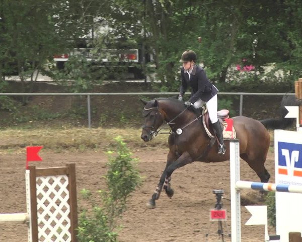 Reitturnier Wiesloch 2018