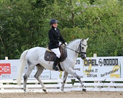 dressage horse Bittersweet (German Riding Pony, 2006, from Beautyful Stallion)