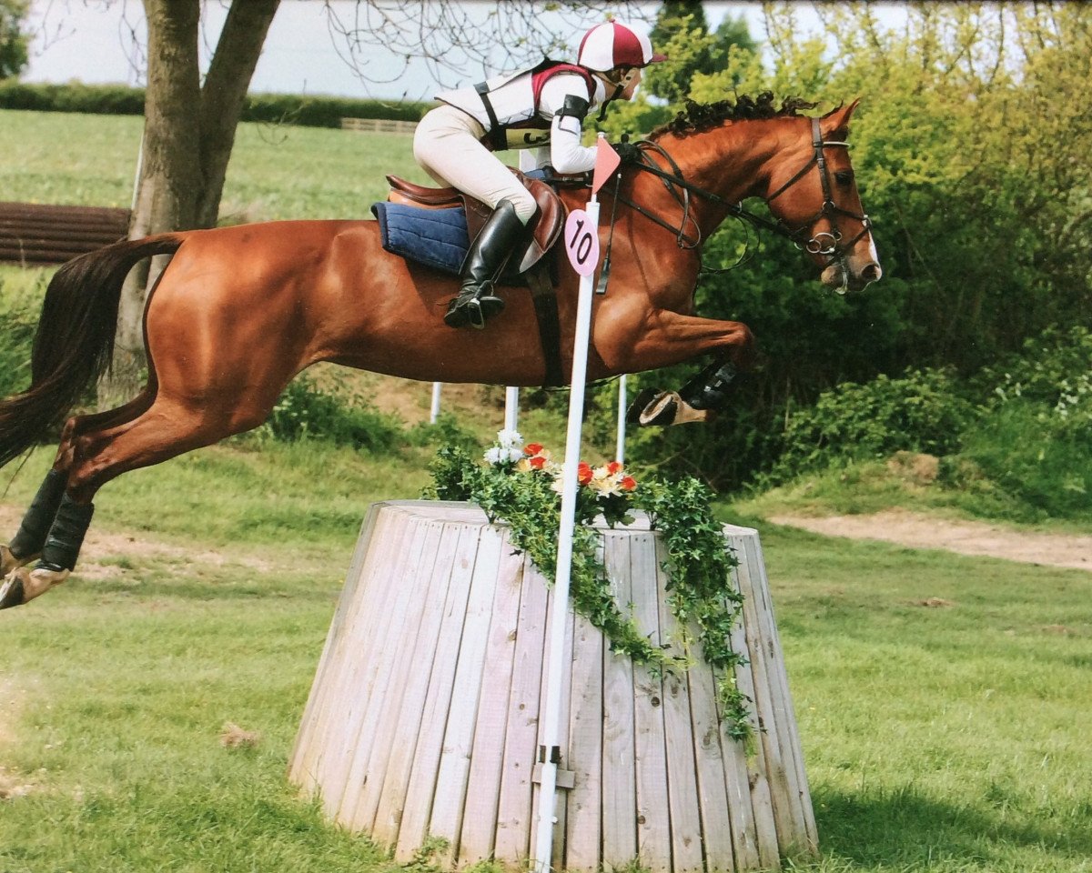 broodmare Vlegel (KWPN (Royal Dutch Sporthorse), 2002, from Hors La Loi II)