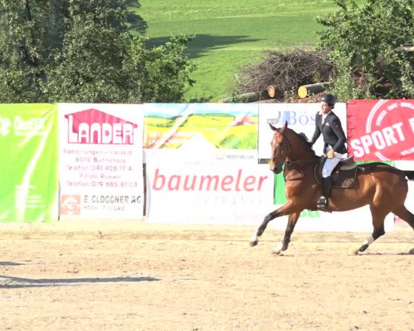 Rottaler Pferdesporttage Buholz 2018