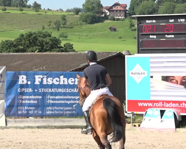 Rottaler Pferdesporttage Buholz 2018
