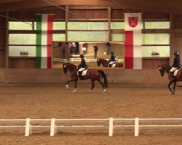 Reitturnier Schwerte-Gut Kückshausen 2018