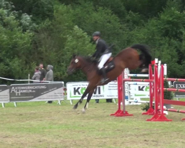 Reitturnier Bad Pyrmont 2018