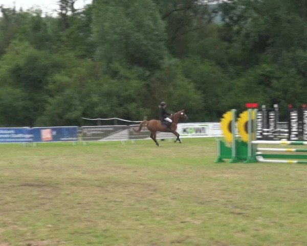 Reitturnier Bad Pyrmont 2018