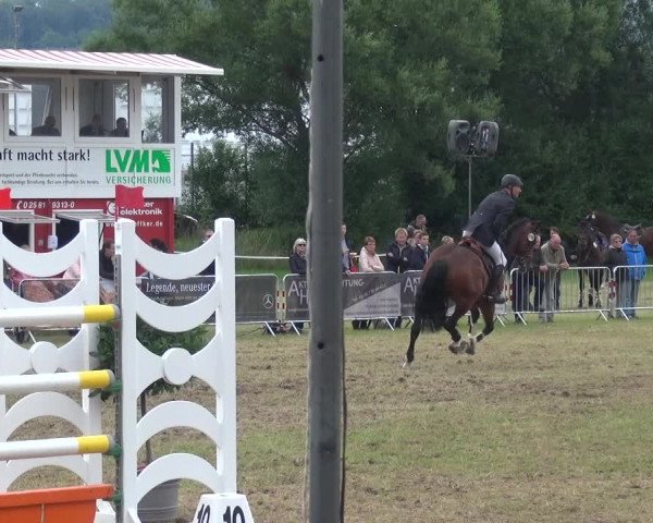 Reitturnier Bad Pyrmont 2018