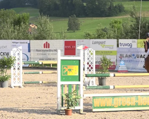 Rottaler Pferdesporttage Buholz 2018