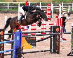 jumper Ian (Swedish Warmblood, 2001, from Iowa)