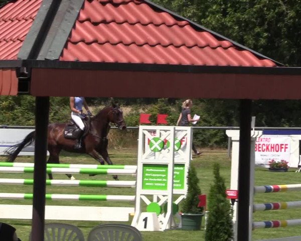 Reitturnier Delbrück-Ostenland 2018