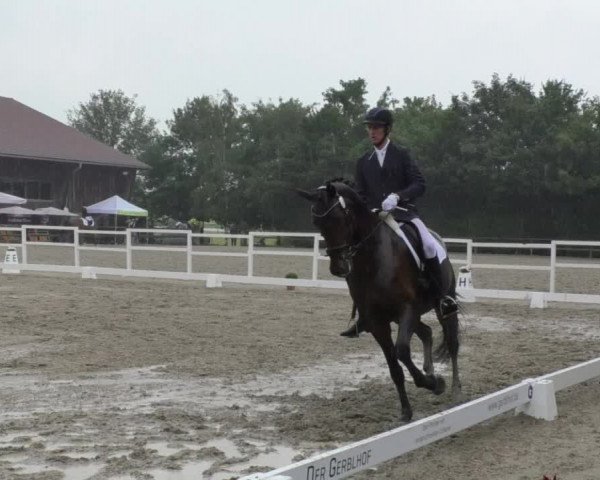 Reitturnier Pellheim-Gerblhof 2018