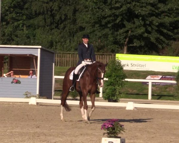 Reitturnier Melle-Ostenfelde 2018