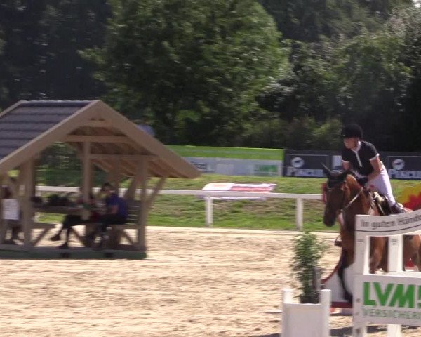 Reitturnier Melle-Ostenfelde 2018