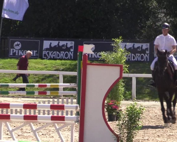 Reitturnier Melle-Ostenfelde 2018