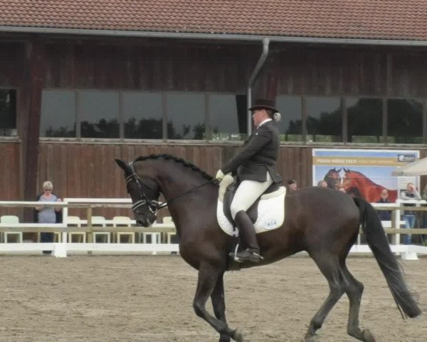 Reitturnier Pellheim-Gerblhof 2018