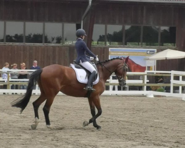 Reitturnier Pellheim-Gerblhof 2018