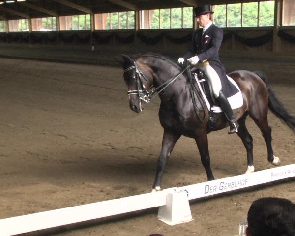 Reitturnier Pellheim-Gerblhof 2018
