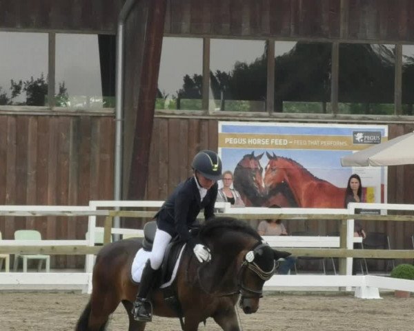 Reitturnier Pellheim-Gerblhof 2018