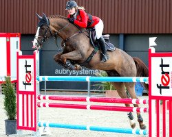 jumper Exclusieve van T Zorgvliet (Belgian Warmblood, 2004, from For Pleasure)