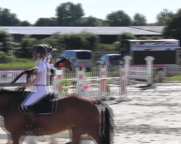 Reitturnier Schülp / Rendsburg 2018