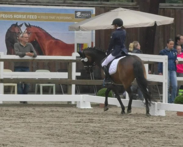 Reitturnier Pellheim-Gerblhof 2018