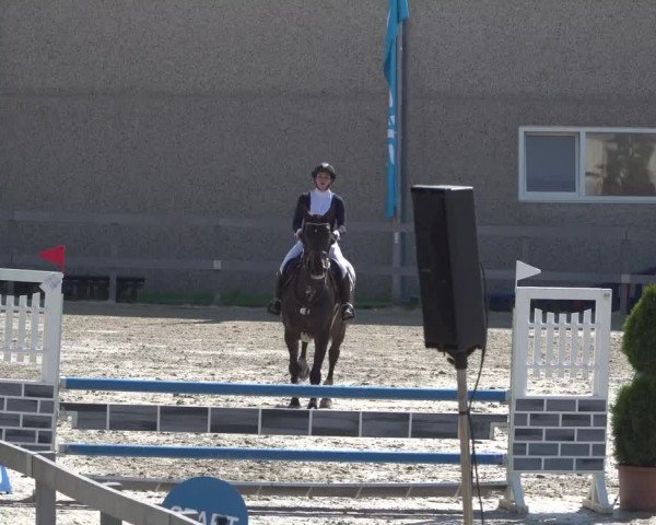Reitturnier Kalenborn Hegehof 2018