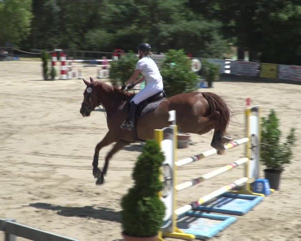 Reitturnier Kalenborn Hegehof 2018