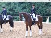 dressage horse Rocco Valentino (Oldenburg, 2006, from Rousseau)