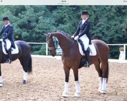 dressage horse Rocco Valentino (Oldenburg, 2006, from Rousseau)