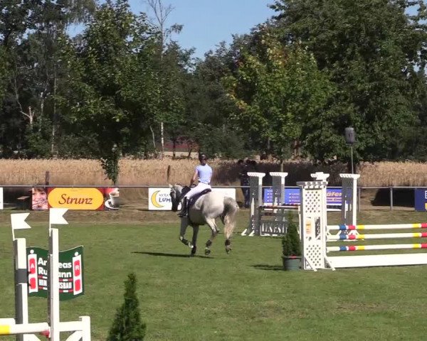Reitturnier Delbrück-Ostenland 2018