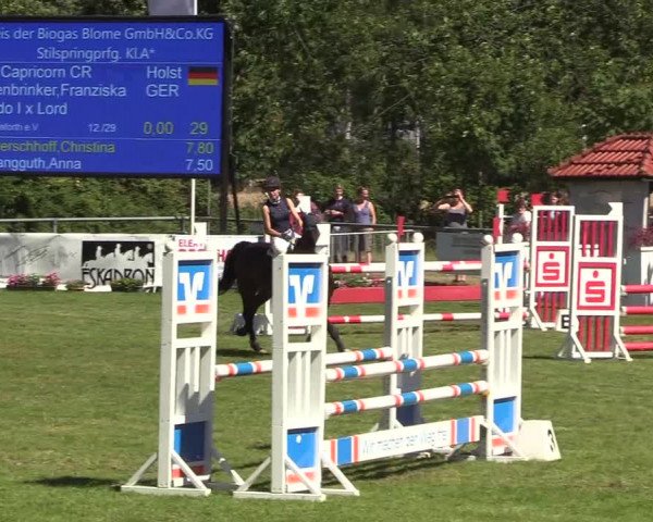 Reitturnier Delbrück-Ostenland 2018