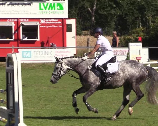 Reitturnier Delbrück-Ostenland 2018
