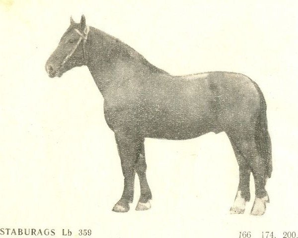 stallion Staburags (Latvian Warmblood, 1951, from Spekonis)
