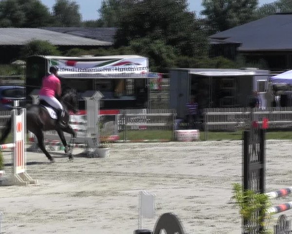 Reitturnier Schülp / Rendsburg 2018